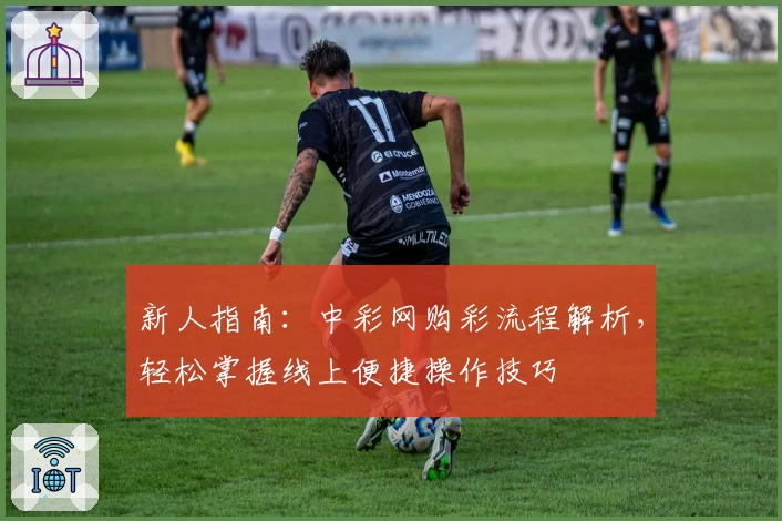 新人指南:中彩网购彩流程解析,轻松掌握线上便捷操作技巧