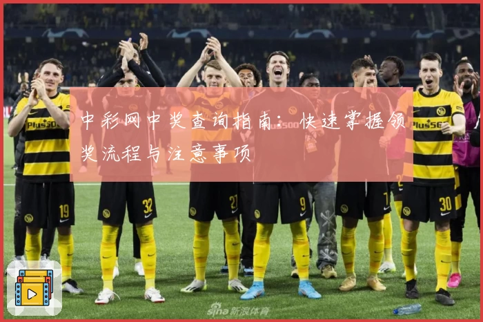 中彩网中奖查询指南：快速掌握领奖流程与注意事项