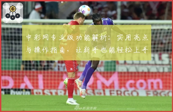 中彩网专业版功能解析:实用亮点与操作指南,让新手也能轻松上手