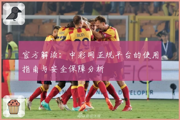 官方解读：中彩网正规平台的使用指南与安全保障分析