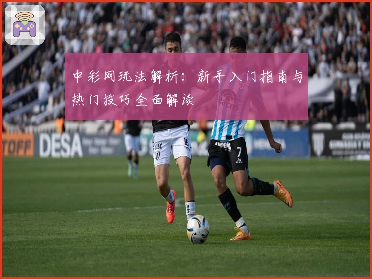 中彩网玩法解析：新手入门指南与热门技巧全面解读